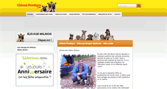 Desktop Screenshot of chiens-pratique.com