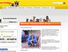 Tablet Screenshot of chiens-pratique.com